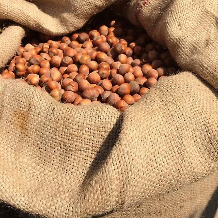 1883桑格拉托农家乐 农家乐 Monteu Roero