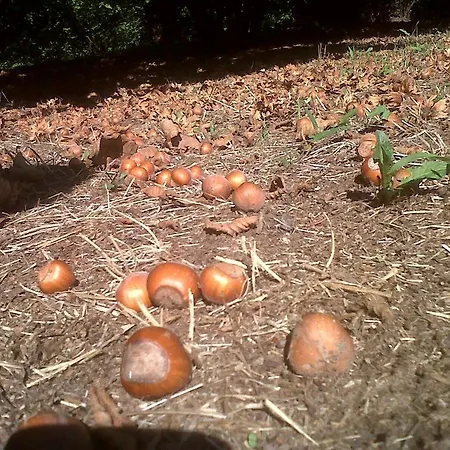 1883桑格拉托农家乐 *