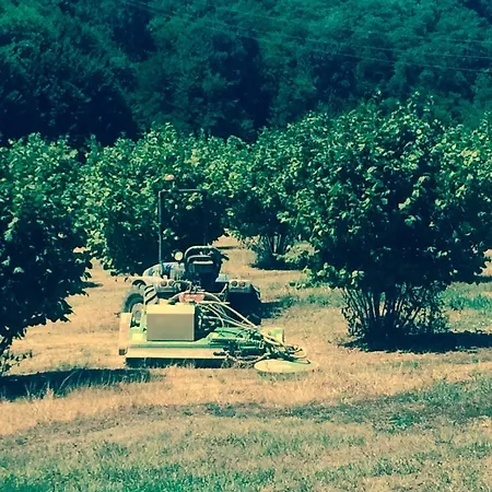 农家乐 1883桑格拉托农家乐 Monteu Roero