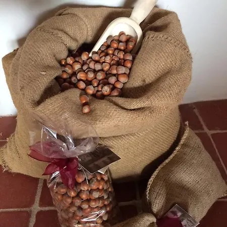 Feriegård Sangrato 1883