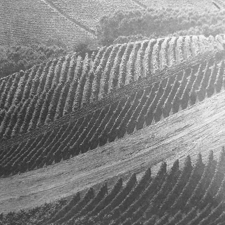 Sangrato 1883 Κατάλυμα σε φάρμα