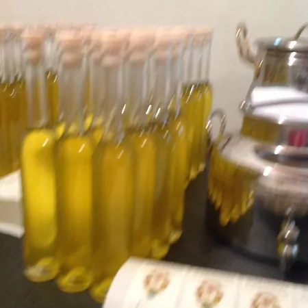 Sangrato 1883 Feriegård