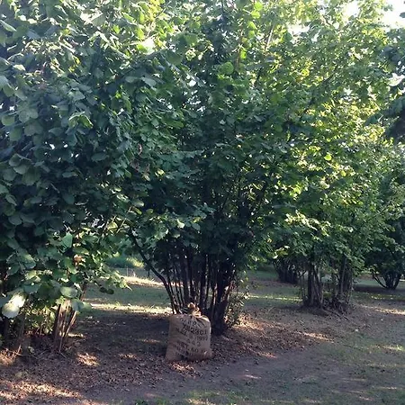 农家乐 1883桑格拉托农家乐 Monteu Roero