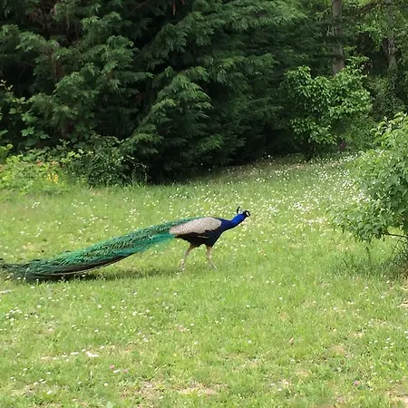 1883桑格拉托农家乐