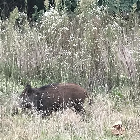 1883桑格拉托农家乐 农家乐 *